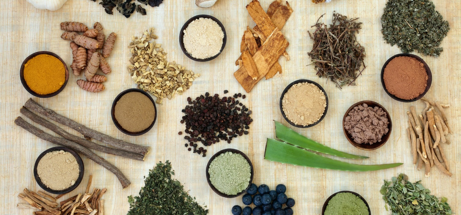 flat lay image of adaptogen ingredients