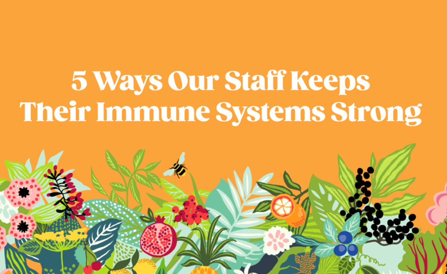 5 Ways Our Staff Keep Their Immune System Strong – Plants By People
